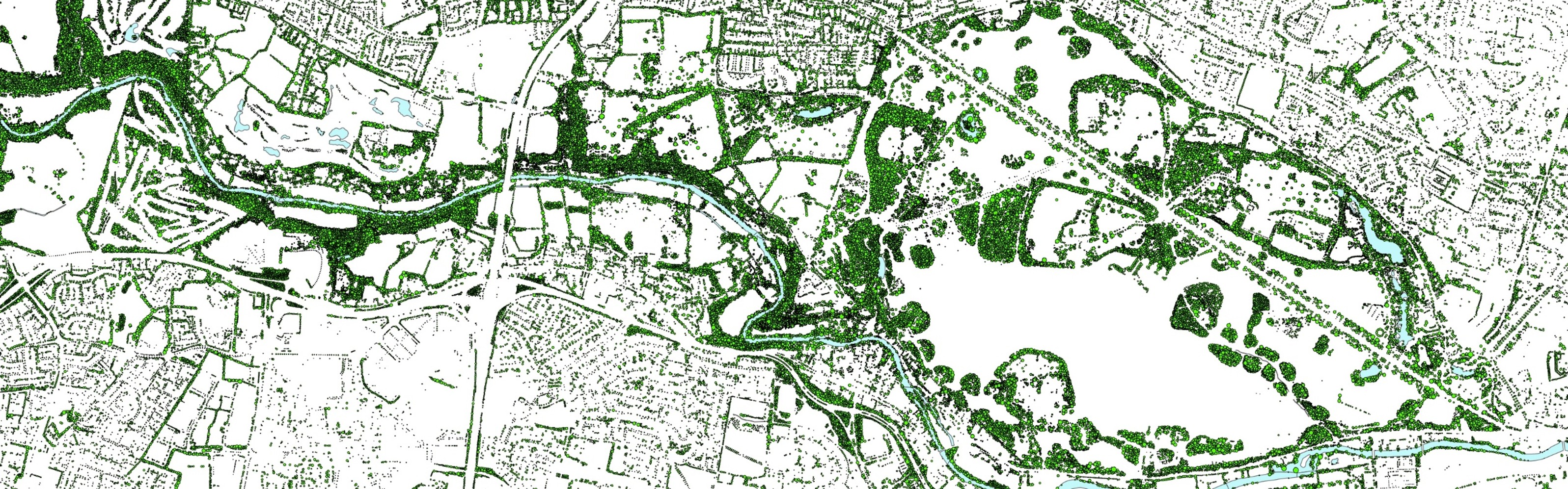 Map of tree coverage in Phoenix Park, Dublin